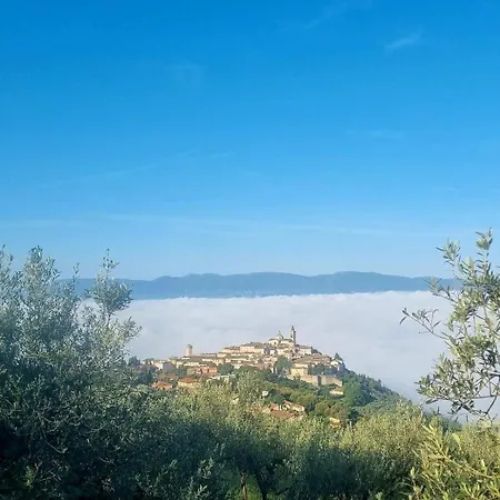 Casale Montanari *
